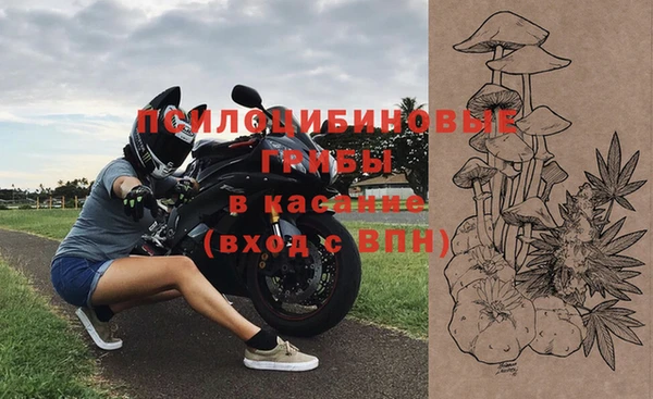 молекула духа Верея