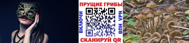 гидра вход  Называевск  Галлюциногенные грибы Psilocybe  купить наркотик 